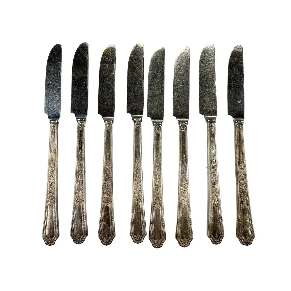 1847 Rogers Bros Ancestral Set 8 Viande Knives INSICO Stainless Silverplate